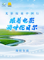 老司机av.